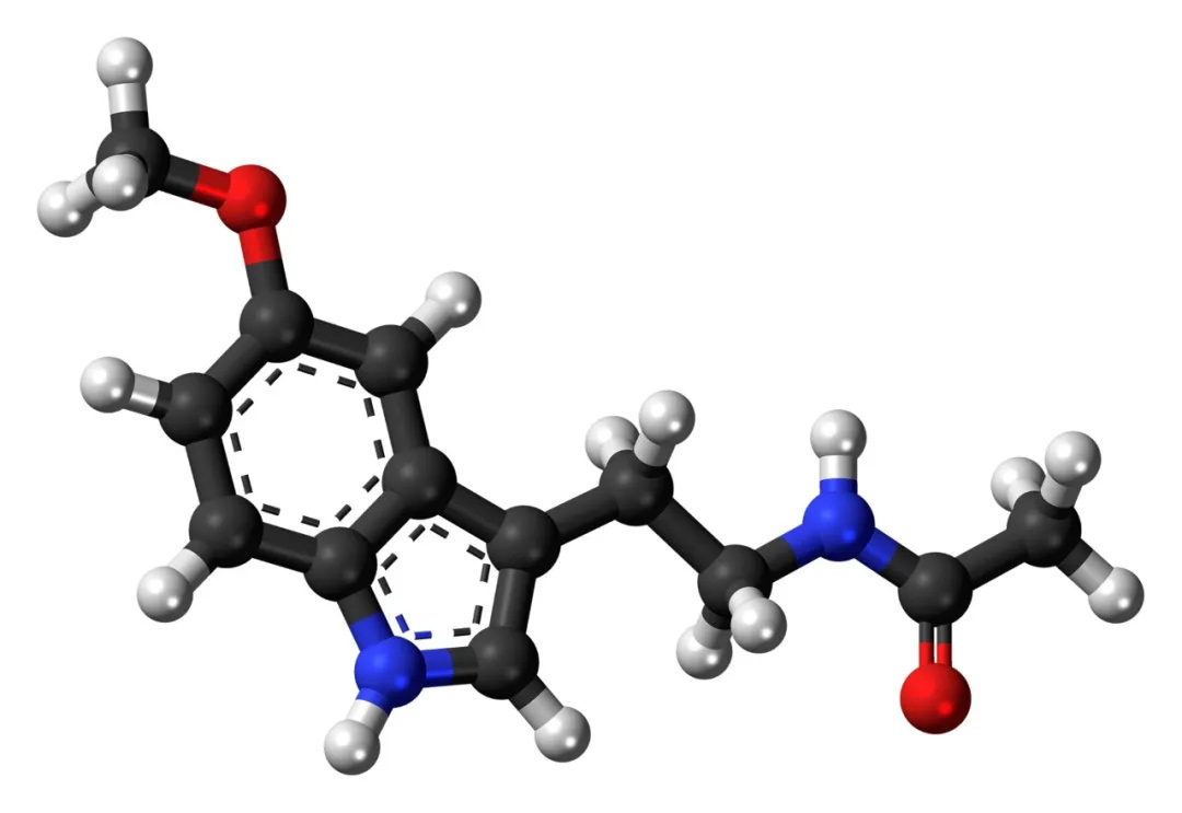 640.webp-(1).jpg